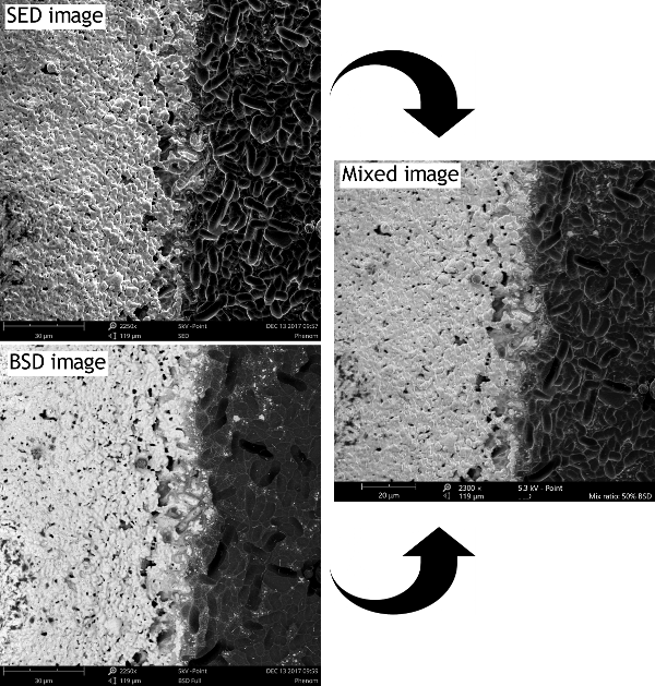 An example of mixing images. On the top left, the SE image and on the bottom, the BSE image of a solar cell, where the silver stripe (bright area) can be distinguished from the silicon (dark area). While the SE image carries information on the topography, in the BSE image the material contrast is dominant. On the right is the resulting mixed image using a ratio of 0.5.