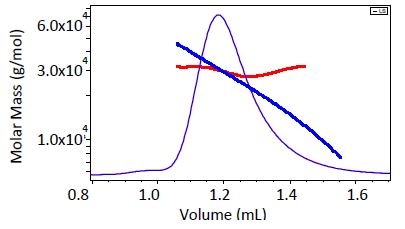 Comparison of single-detector GPC (blue) and MALS analysis (red) of molecular weight for a 29 kDa polystyrene standard. While MALS shows a narrow molecular weight range around 29-30 kDa, column calibration by definition implies that the peak is polydisperse from 20-40 kDa.
