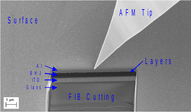 Sample after preparation by focused ion beam (FIB)