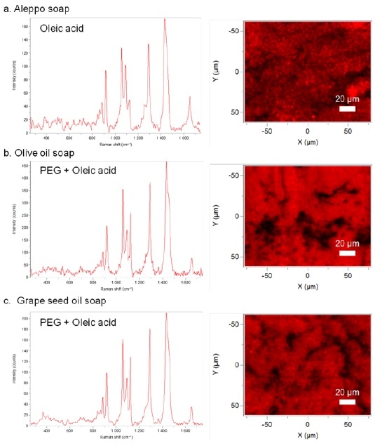 Raman reference spectra and Raman maps of different handmade soaps. Raman spectral identifications based on KnowItAll® databases. (a) Aleppo soap. (b) Olive oil soap. (c) Grape seed oil soap.