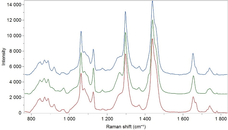 Transmission Raman spectra of adipose tissues from different species (lamb, pork, veal) using the transmission accessory operating at 785 nm.