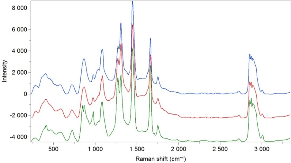 Raman spectral signatures of olive oil (blue), sunflower oil (green), and a blend of the two oils (red).