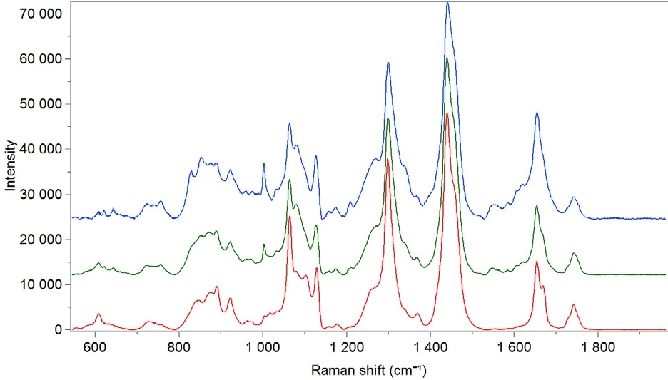 Microscopic Raman analysis of bovine adipose tissue. All spectra are obtained with a Raman microscope (785 nm).