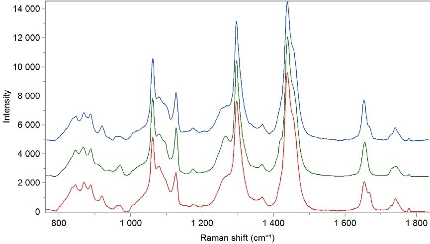 Transmission Raman spectra of adipose tissues from different species (lamb, pork, veal) using the transmission accessory operating at 785 nm.