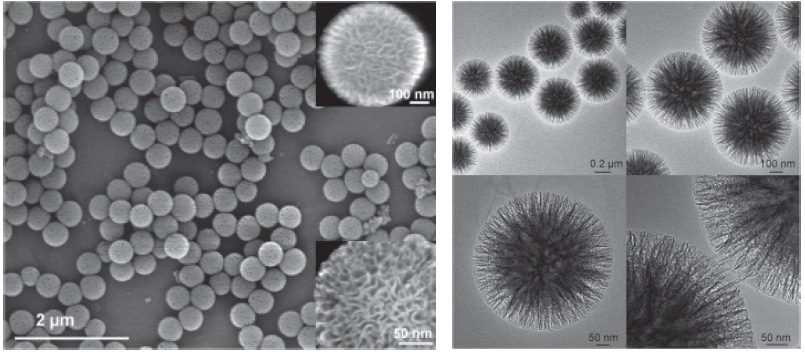 SEM and HRTEM images of silica nanospheres KCC-1