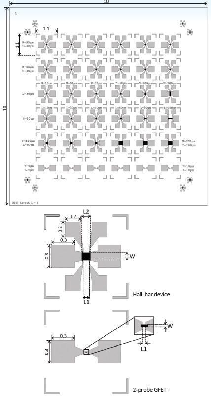 06-2555: GFET chip—grid pattern