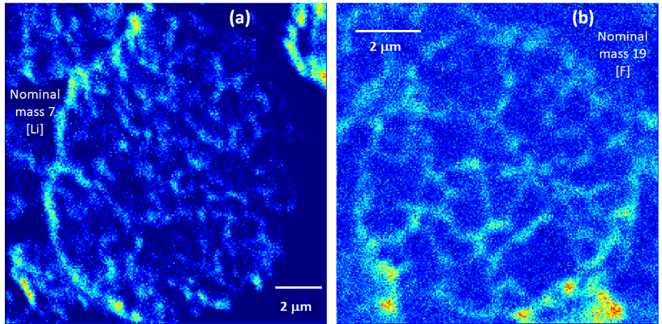 Top projection SIMS images from single cathode particles (a) for nominal mass 7 corresponding to Li and (b) for nominal mass 19 corresponding to F.