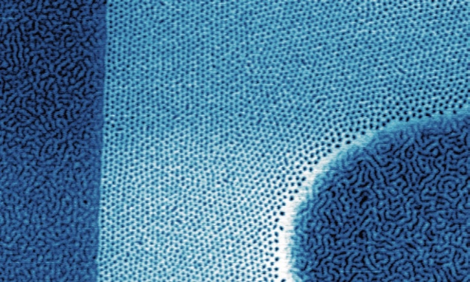 Morphology of PS-PEP diblock copolymer film – Tapping mode phase image of a polystyrene-block-poly(ethylenealt-propylene) (PS-PEP) film on a silicon wafer. The darker region on the left side with lower phase corresponds to the high side of a 16 nm step in the wafer. In this region and the darker curved region on the right, the film forms a PS wetting layer. In the lighter region with higher phase, the film contains a single layer of spherical PEP microdomains. Several vertical rows of aligned microdomains are seen on the low side of the step. Diblock copolymers can self assemble into complex periodic structures, a property that has attracted interest for their use as templates in nanolithography. Understanding how film thickness and step height affect domain location and orientation aids in developing block copolymer templates. Imaged with the MFP-3D AFM; scan width 2 µm, Z (phase) scale 10°. Adapted from Ref. 5.