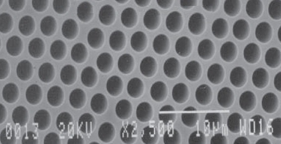 Microchannel plate made up of microscopic electron multiplier channels