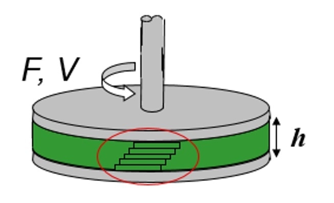 Illustration showing a sample loaded between parallel plates and shear profile generated across the gap.