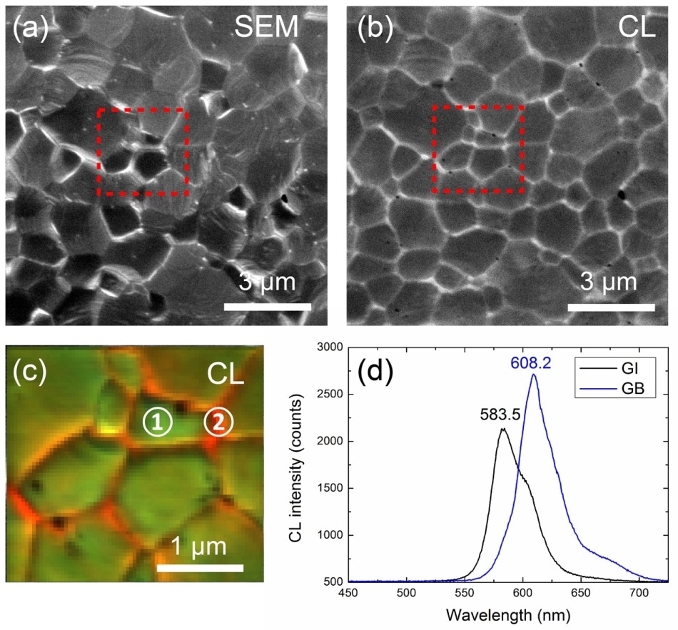 (a) SEM image showing a top view of the perovskite layer. Different crystal grains are clearly visible. (b) Panchromatic CL intensity map revealing light emission efficiency at different points on the material. (c) False color CL image derived from a hyperspectral CL scan visualizing differences in emission spectrum from point to point. (d) CL spectra for the grain interiors (GI) versus the grain boundaries (GB). The grain boundaries are more red-shifted because of the higher iodide concentration. This is also apparent in the false color map in (c) where the boundaries are more red/orange compared to the green grain interiors. Images are from Ref. [2]. Experiments were performed on a SPARC system (Australian Research Council grant LE140100104) at the Monash Centre for Electron Microscopy (MCEM, Monash University, Australia).