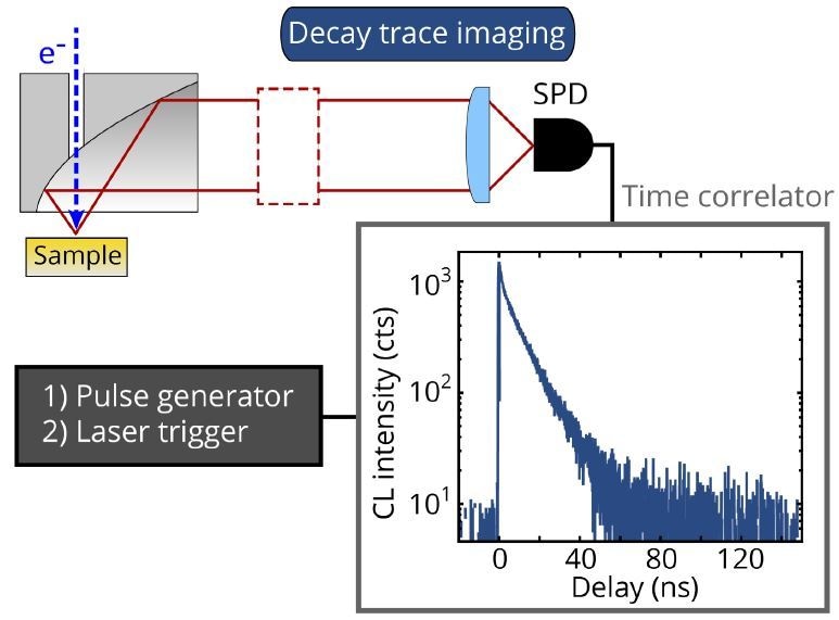 Schematic overview of the decay trace acquisition scheme. CL is coupled into an optical fiber using the fiber coupler module (dashed red line) which sends the light to a single ultrafast detector (SPD in this case). The signal from the detector is read out by the time-correlator system.