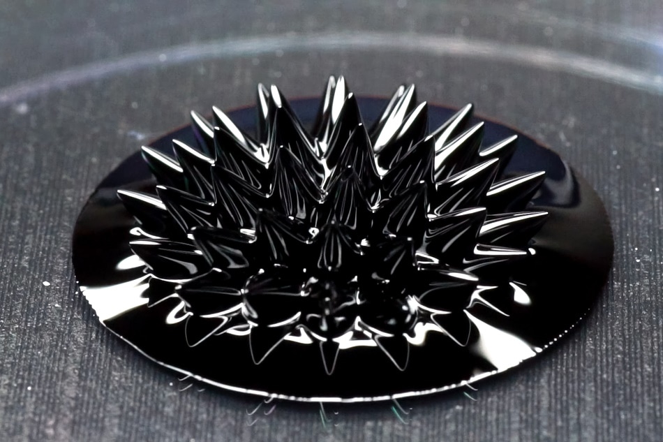 Beautiful forms of ferromagnetic fluid. Iron dissolved in a liquid under the influence of a magnetic field.
