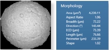 (A) Thresholded image of a particle from which its morphological parameters are measured. (B) Morphological values for the particle in Fig. 2A.