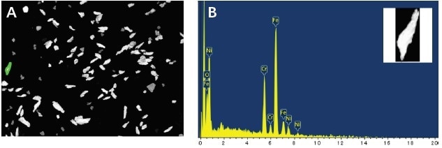 Figure showing (a) a typical field of view with one particle selected and (b) showing the spectrum of that particle.