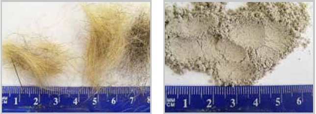 Human hair before and after fine grinding in the MM 400.