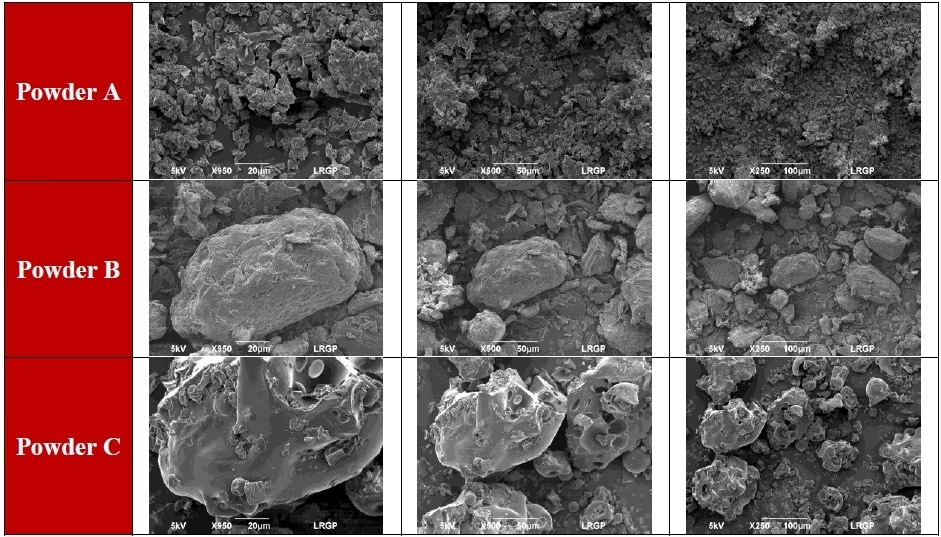 Food powders SEM pictures. For each powder, magnifications are 20 µm, 50 µm, and 100 µm (from left to right).