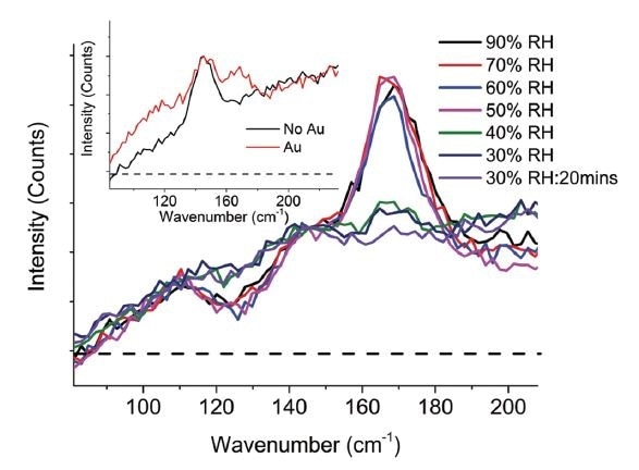 The in situ raman spectra highlights the reversible dehydration when relative humidity is decreased but also indicates the presence of a dehydrated species in the Au region (Hooper, 2017).
