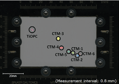MS image of CTM-mix developed two dimensionally on TLC plate