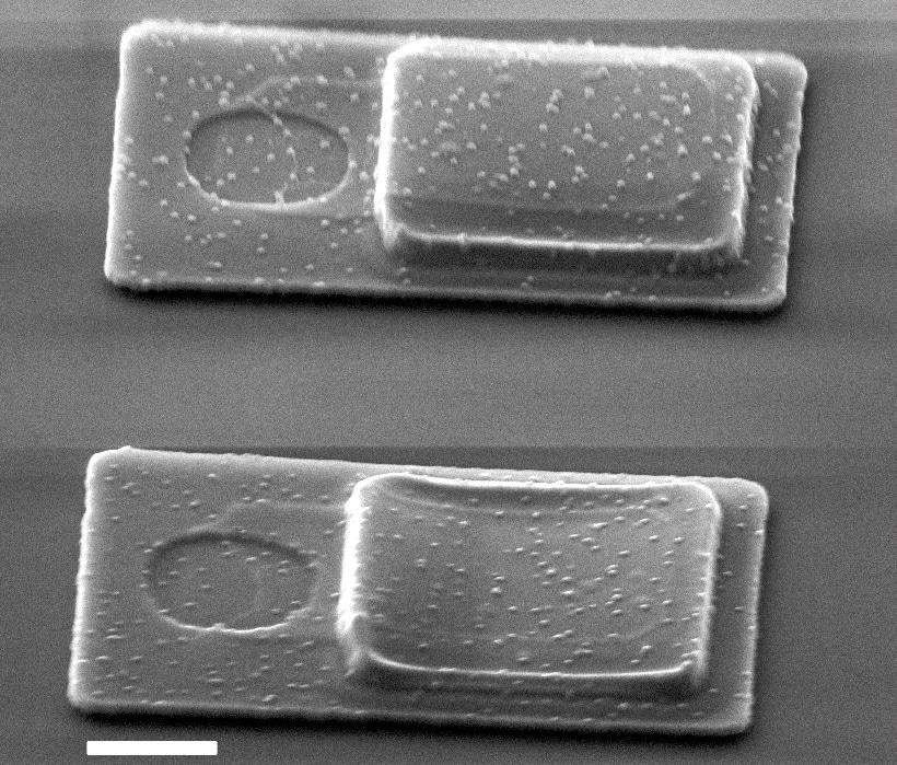 Device with a non-collapsed membrane (top) and a device with a collapsed membrane (bottom). Bar scale 1 µm.