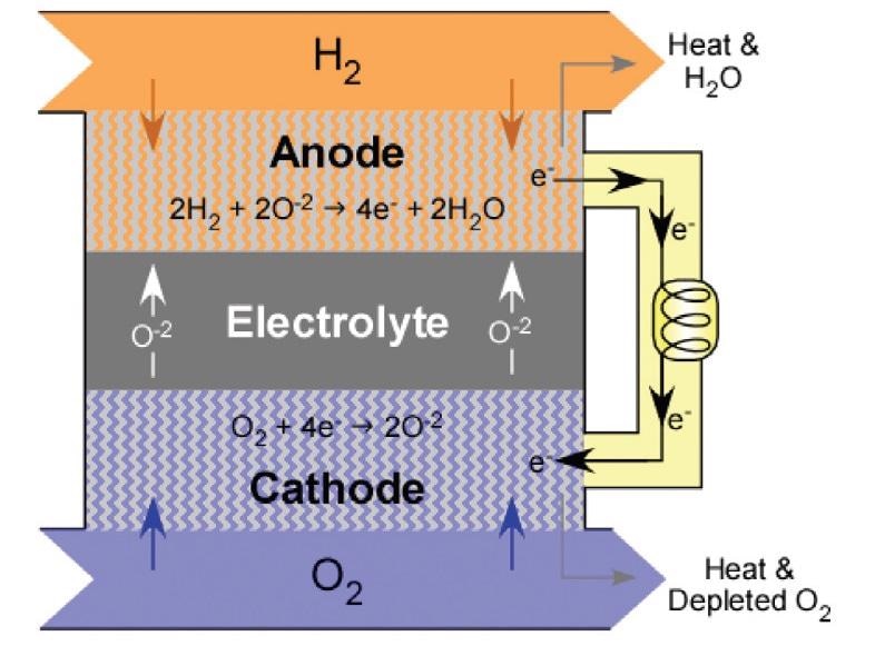 Schematic of solid oxide fuel cell