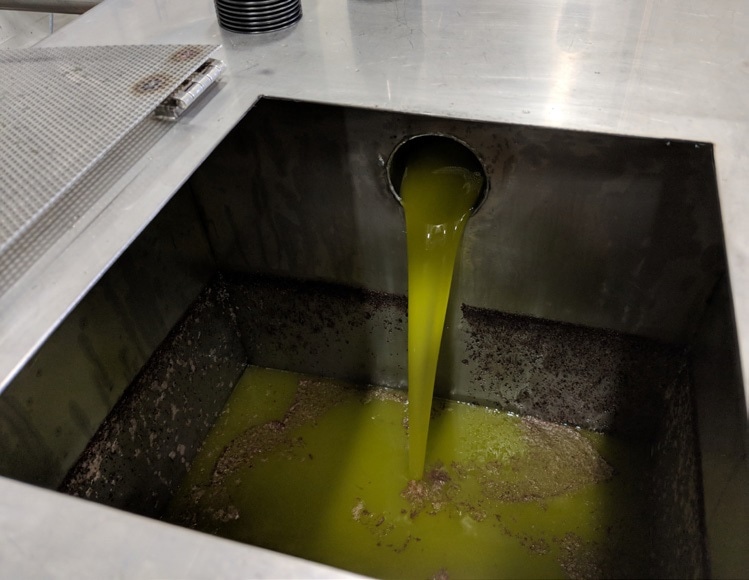 Olive Oil Analysis, Oil Analysis, FT-NIR Spectroscopy
