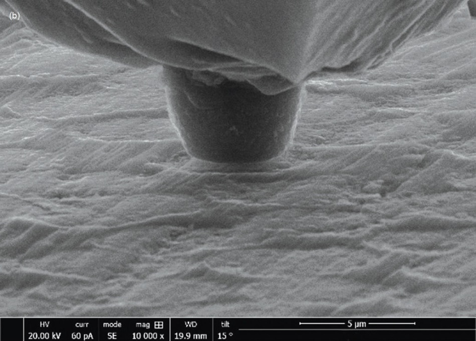 (a) Low-magnification SEM image of a sample clamped to a substrate; (b) pre- and (c) post-images of a fiber push-out test.