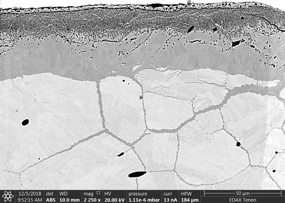 BSE image of nitrided surface layer of steel sample.