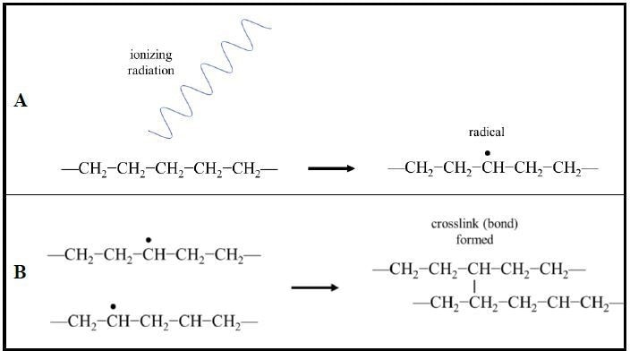 Radiation crosslinking of polymer chains. (A) Ionizing radiation induces the formation of radicals (unpaired valence electrons) in the polymer chains. (B) Radical electrons pair and form covalent bonds between neighboring polymer chains creating crosslinking. (Example shown: polyethylene).