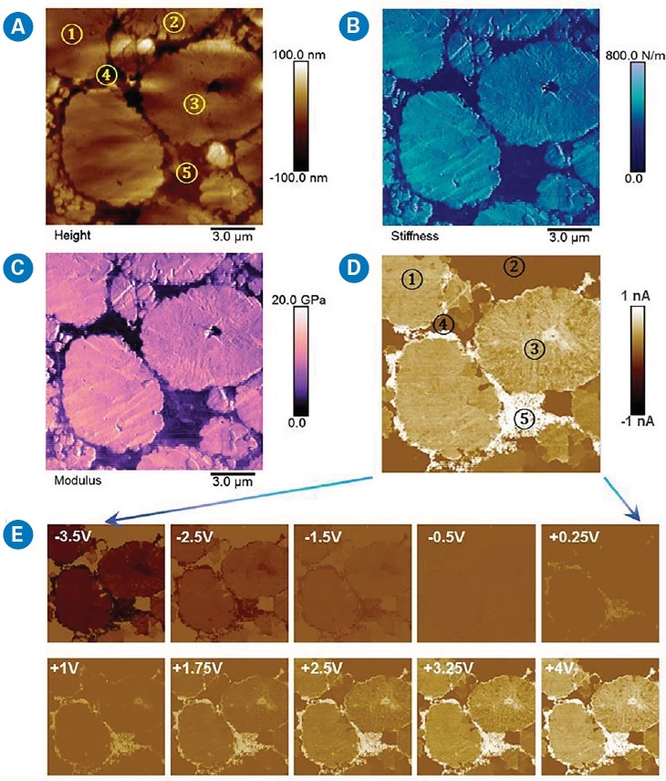 DCUBE-TUNA study of a battery cathode consisting of Li metal oxide (1)–(3), polymer binder (4), and conductive carbon nanoparticles (5): (a) surface topography, (b) quantitative surface stiffness differentiating different domains, (c) quantitative modulus map, and (d)–(e) TUNA current slices from the spectroscopic mapping at selected sample voltages. The scanning area is 15 x 15 µm2.