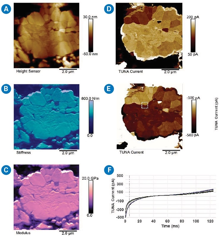 DCUBE-TUNA studies of a Li metal oxide grain on a battery cathode consisting of Li metal oxide, polymer binder, and conductive carbon nanoparticles: (a) surface topography; (b) map of quantitative surface stiffness differentiating different domains; (c) quantitative modulus map; (d)–(e) two slices from spectroscopic mapping showing TUNA current image at a sample bias of +4 V and -4 V, respectively; and (f) all current-time spectra from the area indicated by the white square in (e). During this 125 ms dwell period, the sample bias sweeps linearly from -4 V to +4 V, or at a rate of 64 V·s-1.