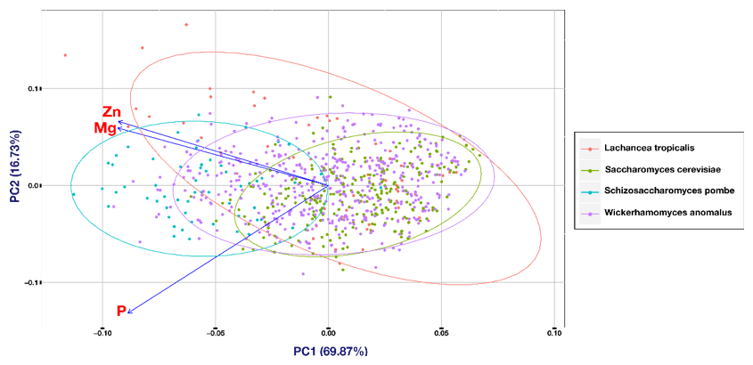 PCA plot for different species. The analysis shows no clear separation of cell populations from different species. There was just a minor diﬀerence between S. cerevisiae and S. pombe and S. pombe and W. anomalus detected.