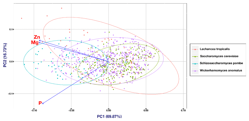 PCA plot for different species. The analysis shows no clear separation of cell populations from different species. There was just a minor di?erence between S. cerevisiae and S. pombe and S. pombe and W. anomalus detected.