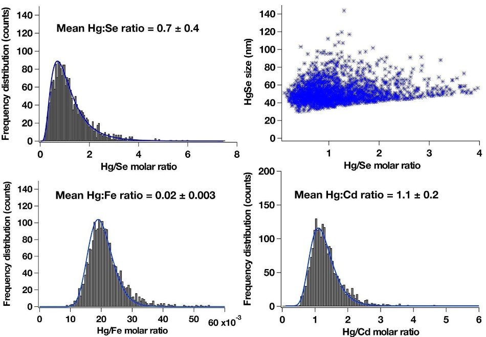 Frequency distribution histograms of Hg/Se, Hg/Fe, and Hg/Cd molar ratios in individual particles extracted from a whale liver and a correlation plot of HgSe particle sizes vs Hg/Se molar ratios acquired with an icpTOF in multi-element single particle mode. The collision-reaction cell was pressurized with 3 ml/min hydrogen to suppress Ar2+ interference on 80Se+. For details on sample preparation and sample characterization refer to (1). An isotope-specific threshold was applied to discriminate nanoparticle signals from the ionic background. Element molar masses per particle and particle sizes were determined using Au 8013 NIST CRM nanoparticles, Au solutions, Hg, Se, Cd, Fe-containing calibration solutions and the method proposed by Pace et al. based on known size of 8013 Au particle standard (2). Sample specific size detection limits for HgSe particles were estimated to be 40 nm assuming the density of 13.5 g/cm3 that corresponds to 110 ag of Hg and 300 ag of Se. Fe is most likely bound to the particle in a form of metalloprotein. Co-accumulation of Cd with Hg has been already observed in the previous work (3).