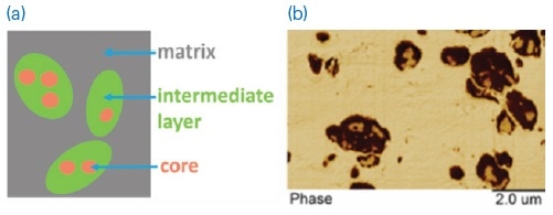 (a) Schematic diagram and (b) AFM phase image showing different regions within high-impact polypropylene sample.