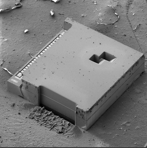 MEMS with multiple cross-sections through the bonding layer of W2W cavity die.