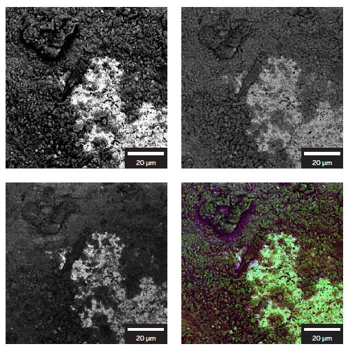 Images of the natural oxidation of the metal surface collected with different TESCAN CLARA BSE detectors. LE BSE (wide-angle), Multidetector (mid-angle), Axial (narrow-angle) and color-coded image where each angle is represented by a color.