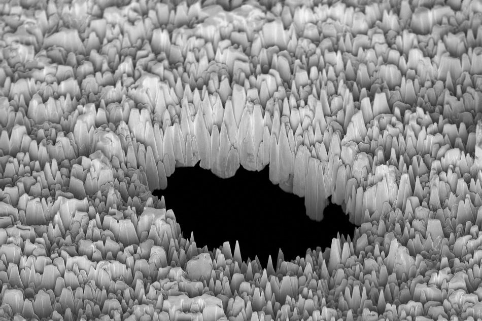 Surface of a metal with a hole observed with an electron microscope.