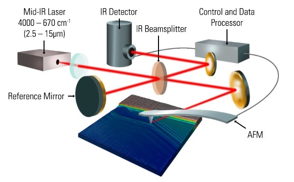 Schematics of a nanoIR3-s Broadband system consisting of a super broadband mid-IR laser source and a compact nano-FTIR microscope.