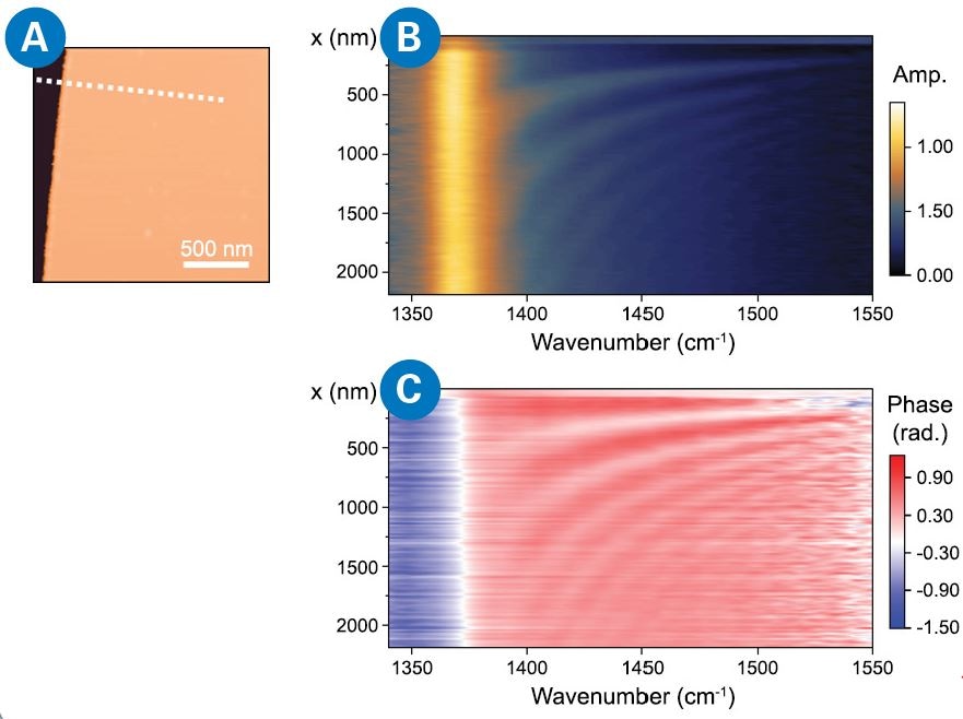 Spatiospectral nanoimaging on a hBN nano flake: (A) The array of spectra is collected under broad-linewidth mode along the dotted white line; By plotting the stack of spectrum in a false color in a waterfall manner with position as vertical axis, a spatiospectral nanoimaging map is created for amplitude (b) and phase (c), respectively. The spatio-spectral scan shows the complete SPP frequency response across the whole range, with high spectral resolution (3 cm-1). Line scan pixel spacing is 15 nm, and each spectrum has an acquisition time of 1 minute, giving a total measurement time of ~2.5 hours  Conclusion