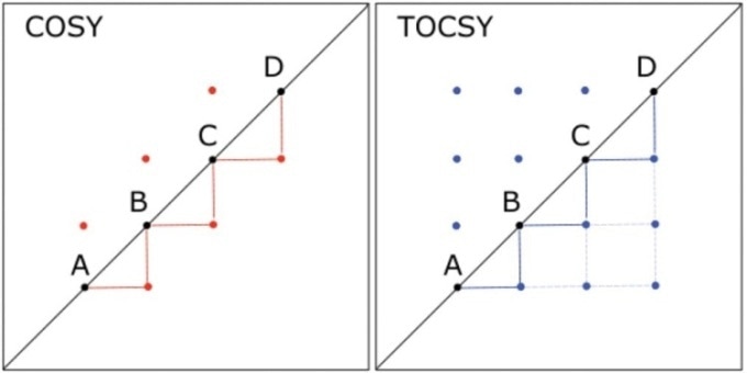 Comparison of 2D COSY and 2D TOCSY spectra for a hypothetical molecule in which hydrogen A is coupled to hydrogen B, which is coupled to C, which in turn, is coupled to D. Lines are drawn to connect the peaks below the diagonal, illustrating the throughbond connectivity shown by each spectrum; heavier lines indicate couplings shown in both spectra, and lighter lines indicate connectivity shown in the TOCSY spectrum but not the COSY.