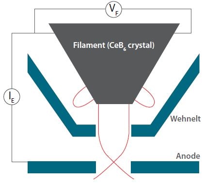 This is a schematic of thermionic source consisting of a CeB6 crystal (the filament), a Wehnelt electrode. and the anode. The red trajectories indicate that the electrons are pushed back in the filament, due to the Wehnelt voltage and the trajectories of the emitted electrons, forming the primary beam.