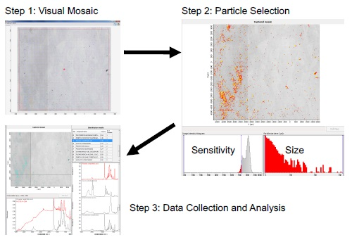 Particle analysis workflow.
