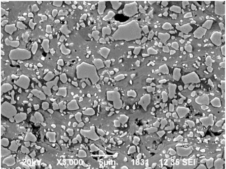 Typical microstructure of WC-17Co HVOF-sprayed coating showing WC grains and binding metal matrix (Scanning Electron Microscope image).