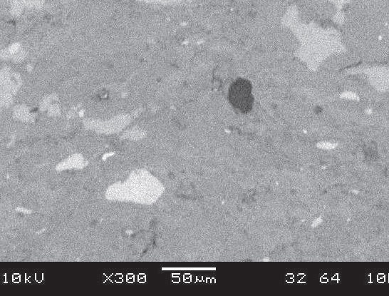 SEM image of geological sample.