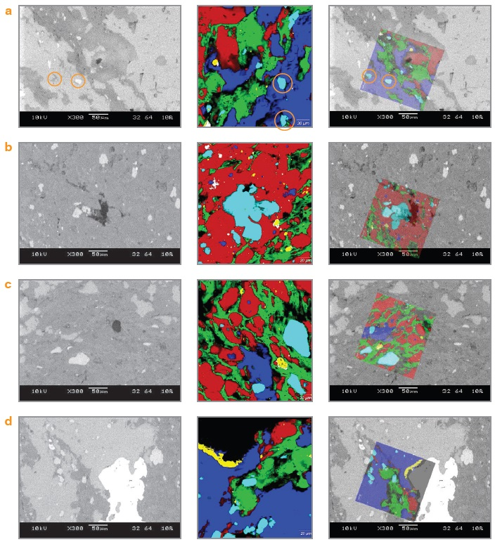 (L to R) SEM-BSE, Raman, and overlaid SEM and Raman images acquired at four positions (a to d) on the geological sample. The colours in the Raman images correspond to the identified components: rutile (yellow), anatase (white), apatite (light blue), carbon (green), quartz (red) and calcite (dark blue).