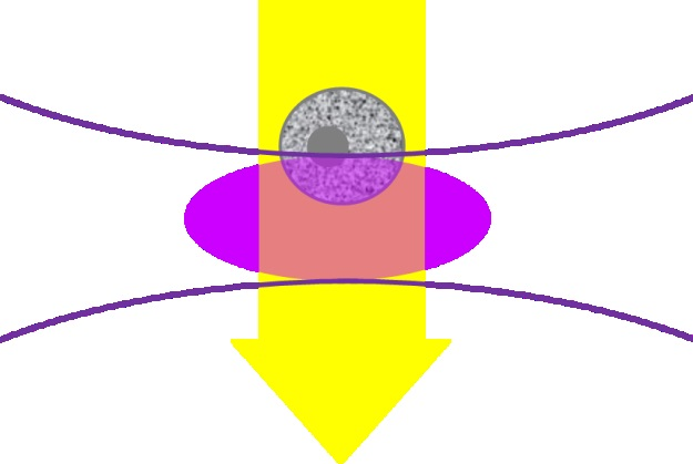 Illustration of the focused laser beam (lavender oval) interacting with the sample in the flow cytometer. The grey cell is moving down through the laser focus.