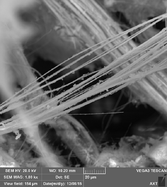 Asbestos samples imaged by Dr. Kamran Khajehpour from AXT Pty. Ltd. Using a TESCAN VEGA3 SEM