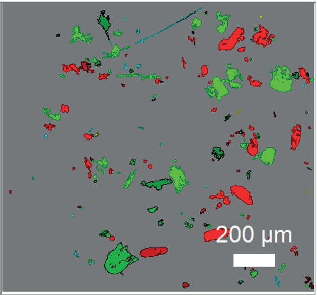 ParticleFinder analysis of 174 particles of aeroallergens. Red: Dust Mite, Green: Dander, Light blue: Grass pollen, Yellow: Lily pollen.