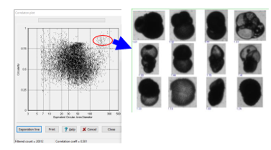 Particle Size, Shape, Concentration and Classification in Real-Time for In-Process Testing